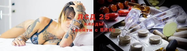 бошки Семилуки